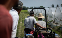 Latina: lo sfruttamento del lavoro agricolo diventa orrore