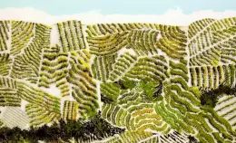 Oltre 50 organizzazioni chiedono una food policy per Roma