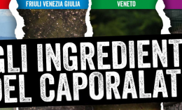 Friuli Venezia Giulia: istituito un Osservatorio sul caporalato in agricoltura