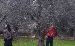 Diagrammi Sud: dalla formazione tecnica alle reti territoriali