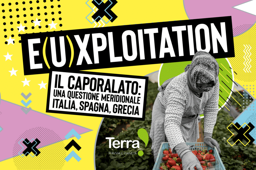 Terra! presenta il nuovo rapporto E(U)xploitation sul caporalato in Europa