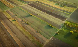 Sulla PAC ora servono modifiche radicali