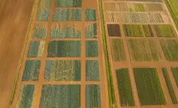 Voto finale in UE sull PAC: altri 7 anni gettati alle ortiche