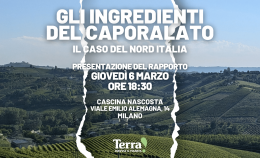 La presentazione del report <br> Gli ingredienti del caporalato a Milano </br>