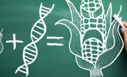 Raccolte oltre 400 mila firme contro nuovi OGM