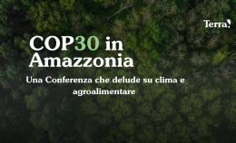 COP30: una Conferenza che delude su clima e agroalimentare