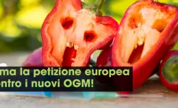 Firma la petizione europea contro i nuovi OGM!