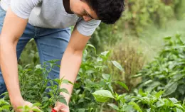 Gioventù frustrata. Il report di Terra! sul mancato ricambio generazionale in agricoltura