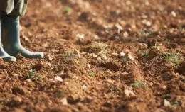 Corso di formazione in agroecologia a Lampedusa: iscriviti!