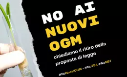 24 associazioni chiedono il ritiro della proposta di legge sui nuovi OGM