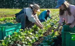 Che cos'è l'agroecologia?