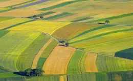 Perché è fallito il vertice europeo sul futuro della PAC